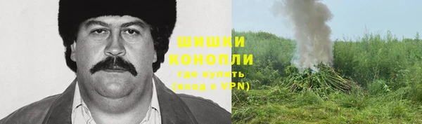 молекула духа Алзамай