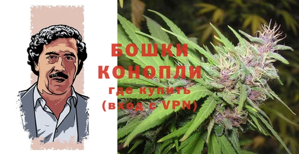 молекула духа Алзамай