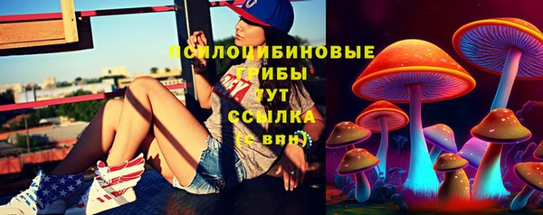 амф Алексеевка