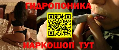 гашишное масло Кингисепп