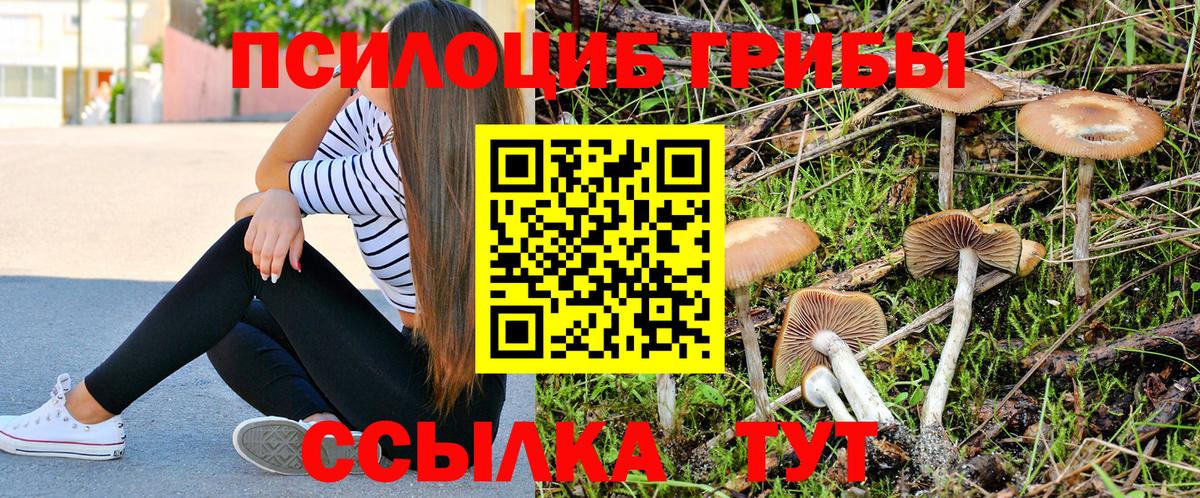 Галлюциногенные грибы мухоморы  Вход с VPN  Лангепас  Галлюциногенные грибы прущие грибы 